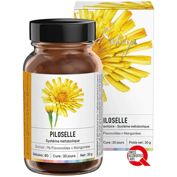 Piloselle