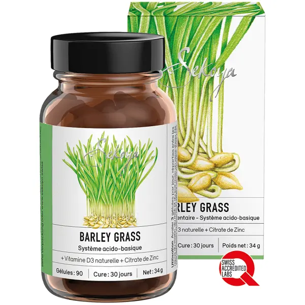 Barley Grass