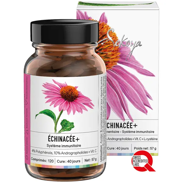 Echinacée +