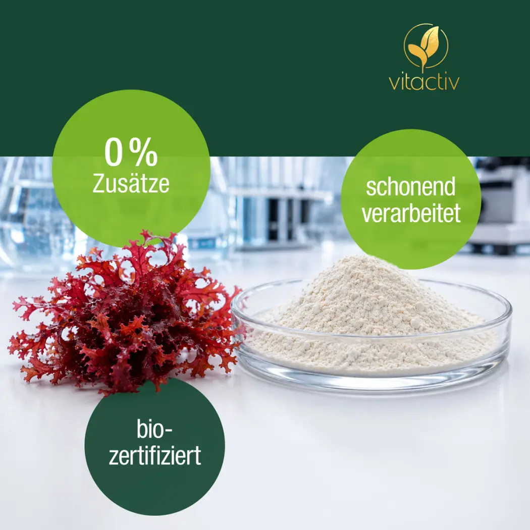 Vitactiv BIO CALCIUM & MAGNESIUM — Green Future E-Commerce GmbH