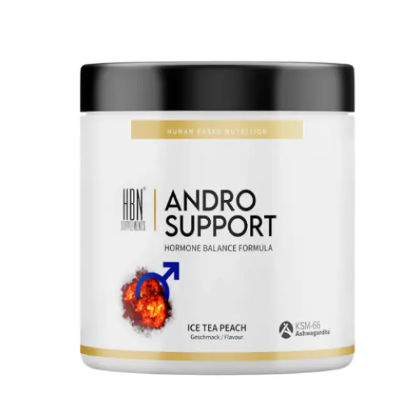 Andro Support Peach Ice Tea 360 g