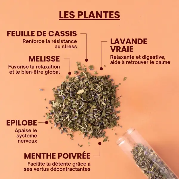 Rituel n°1 - Tisane Bio Relaxation