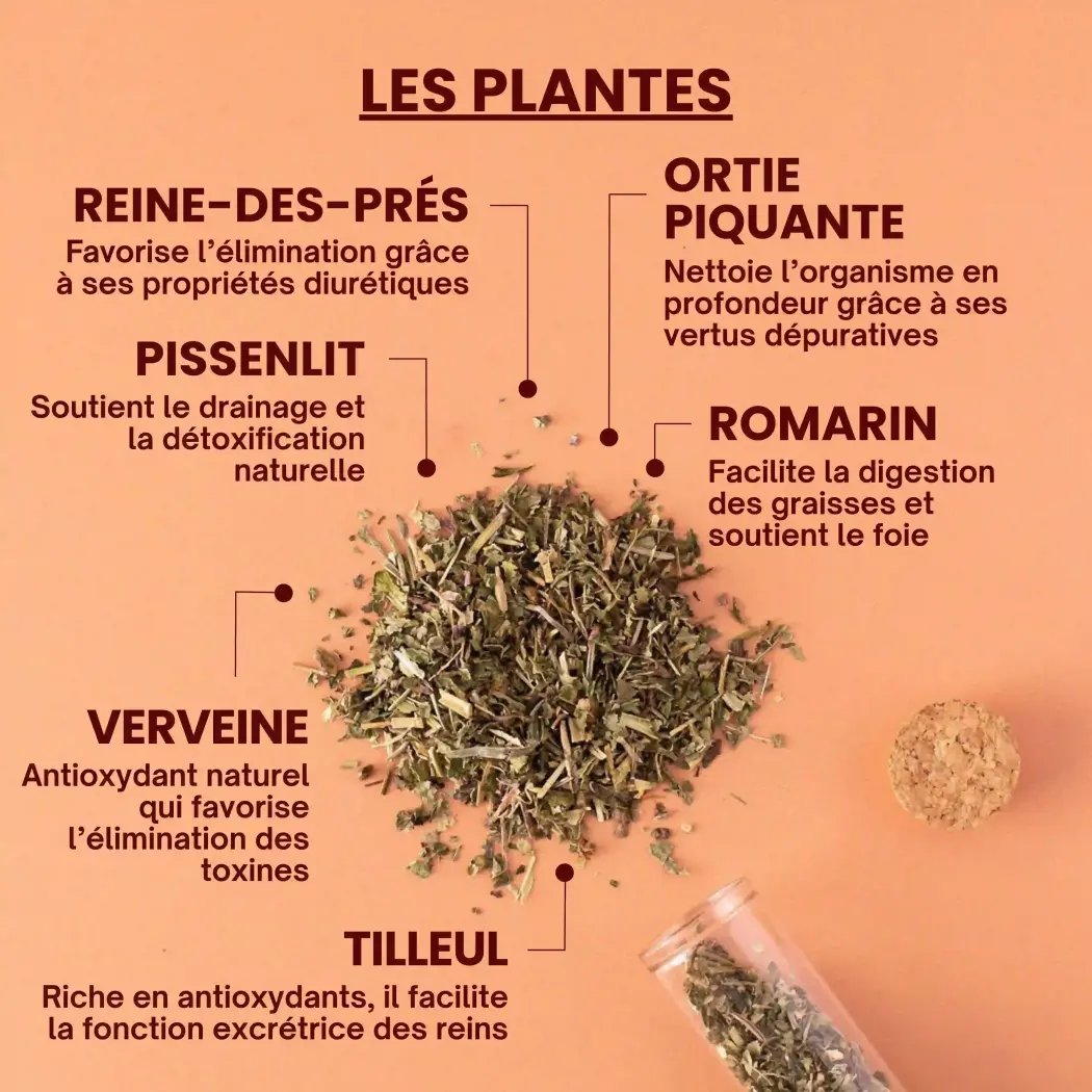 Rituel n°2 - Tisane Bio Détox — Près des Reines