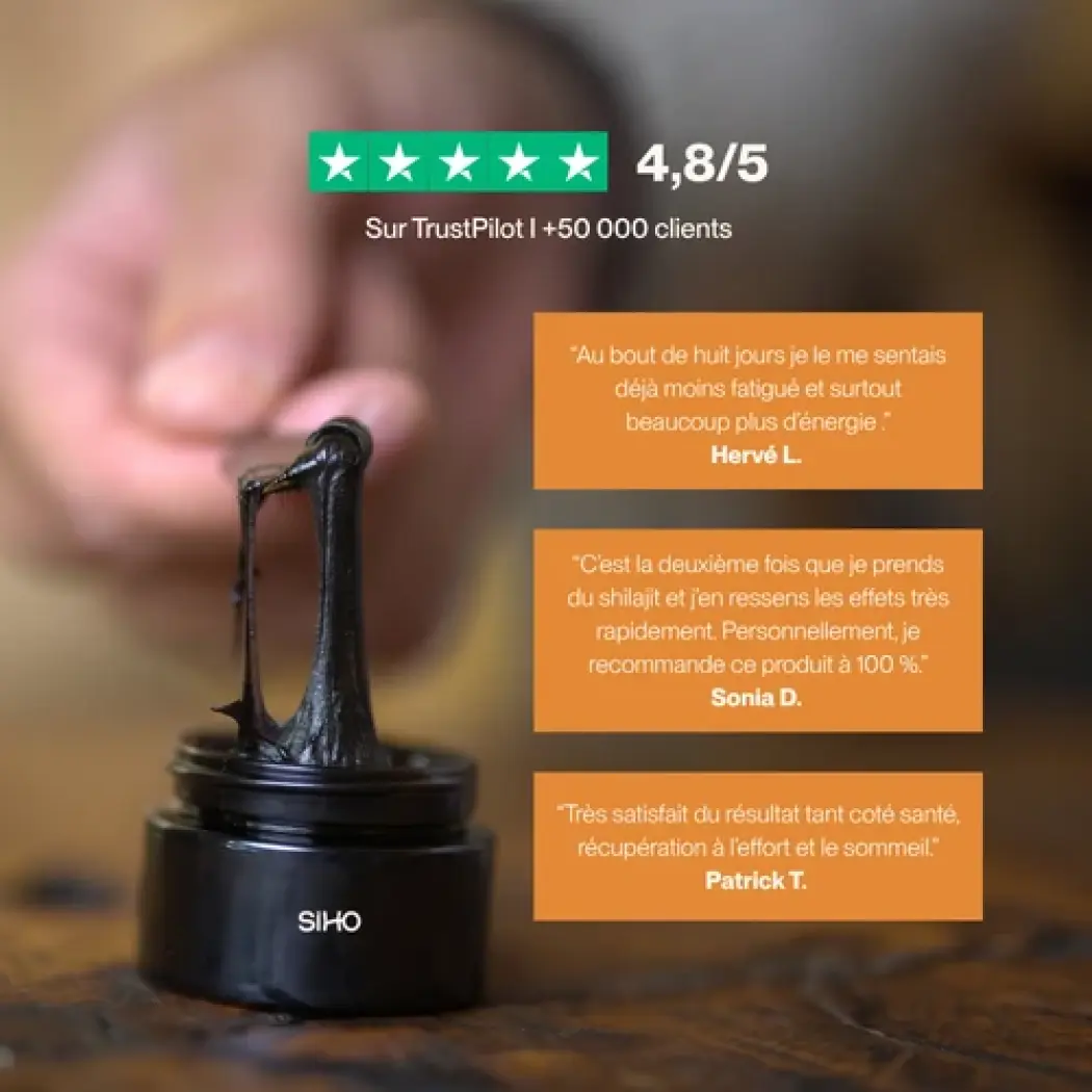 Shilajit Harz 15g - Immunität — Siho