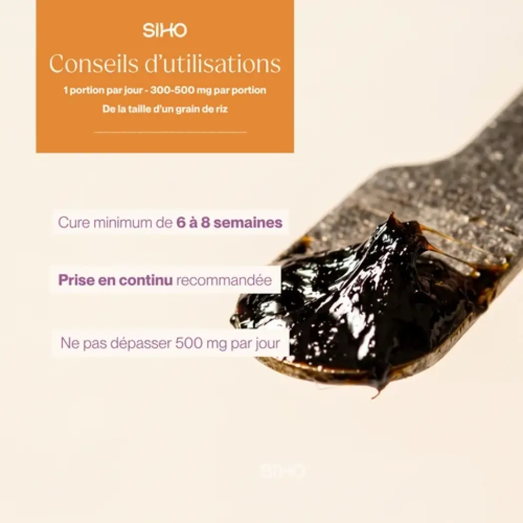 Shilajit Harz 15g - Immunität — Siho