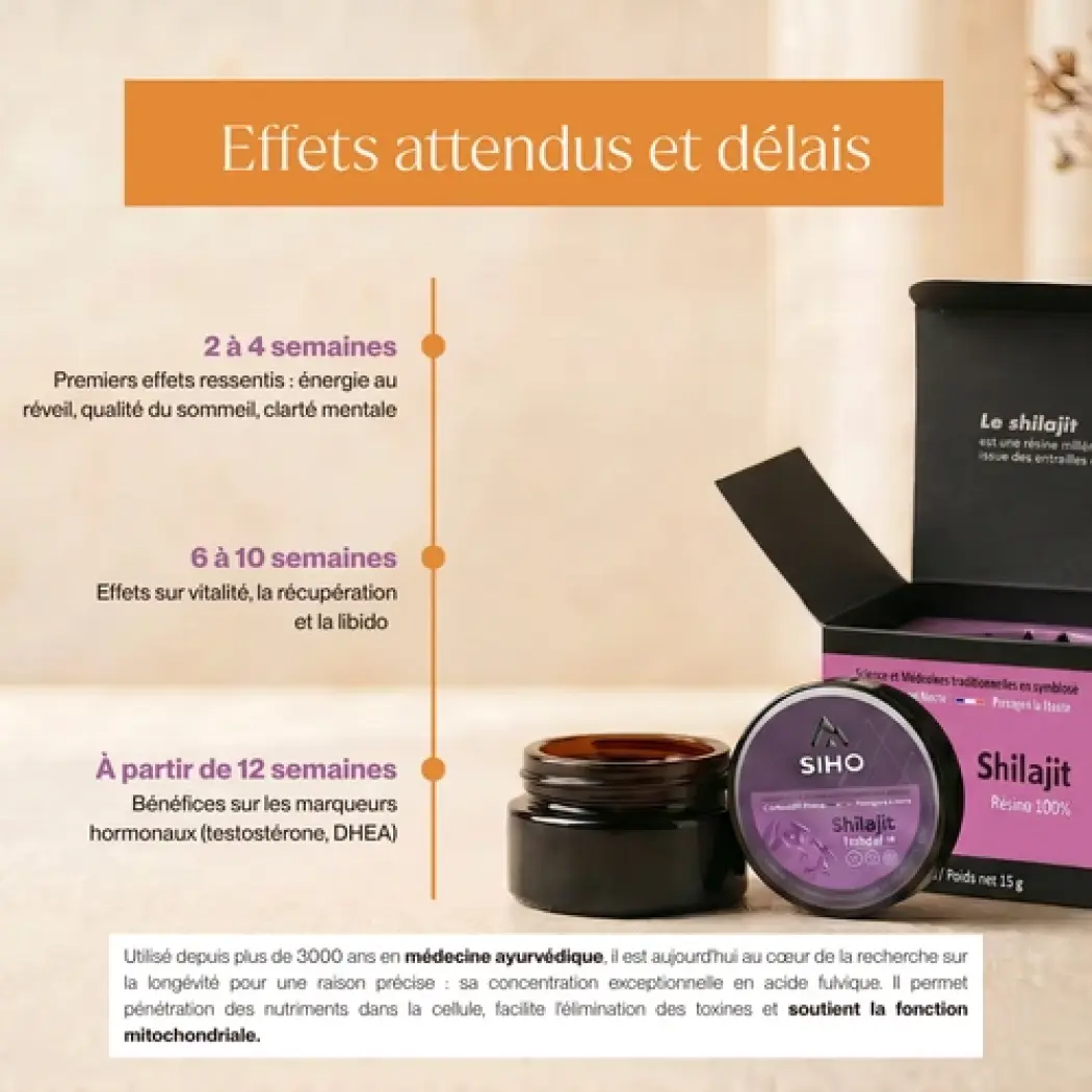 Shilajit Harz 15g - Immunität — Siho