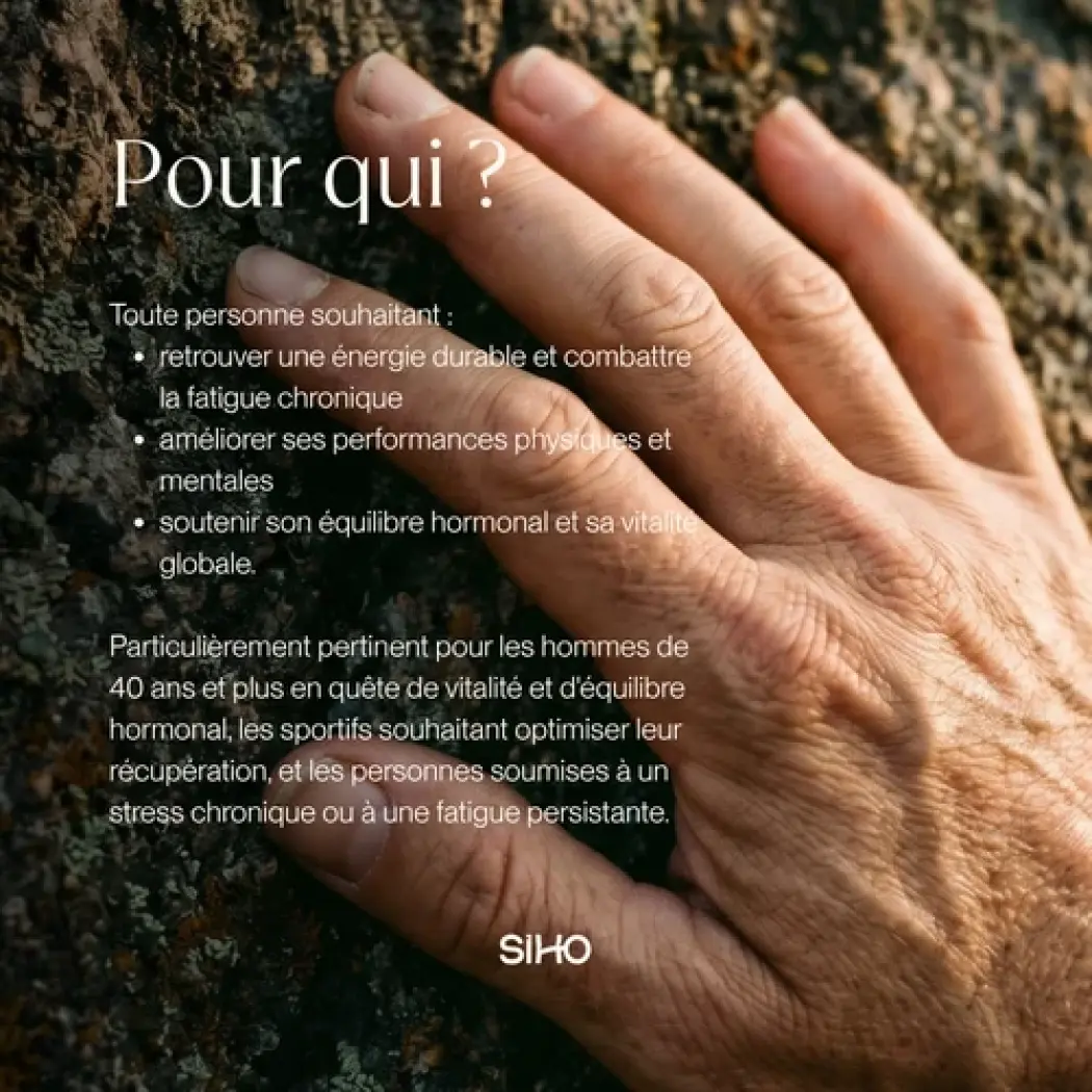Shilajit Harz 15g - Immunität — Siho