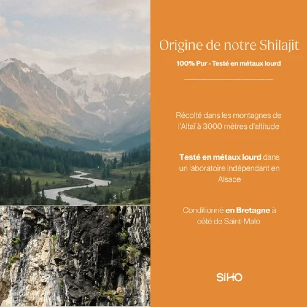 Shilajit Harz 15g - Immunität — Siho
