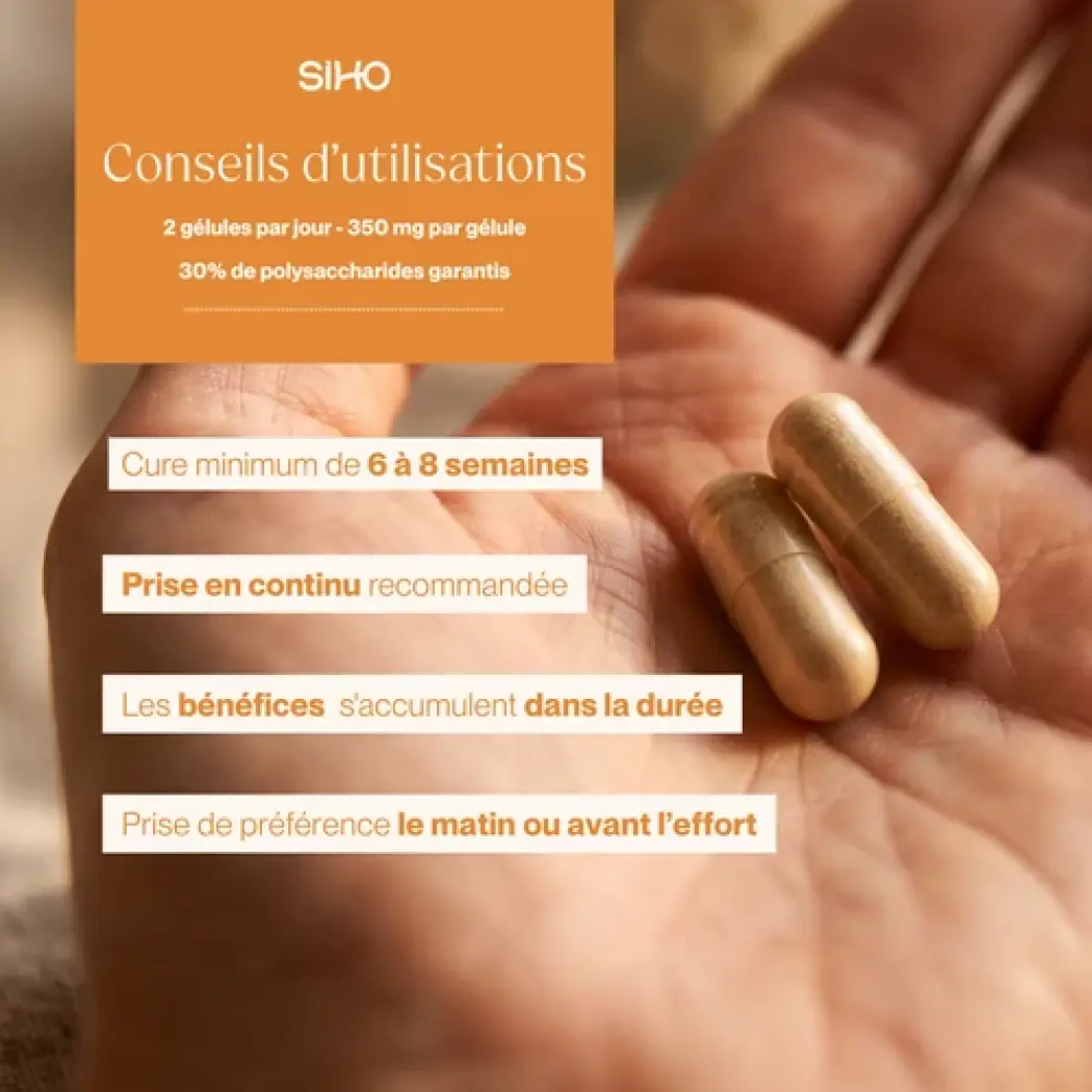 Cordyceps Bio Ultra-Concentré — Siho