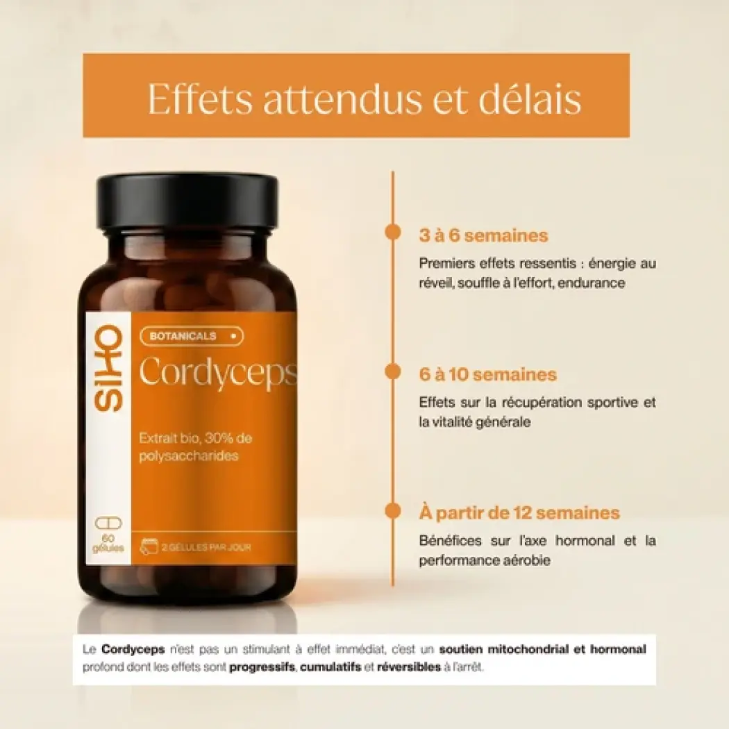 Cordyceps Bio Ultra-Concentré — Siho