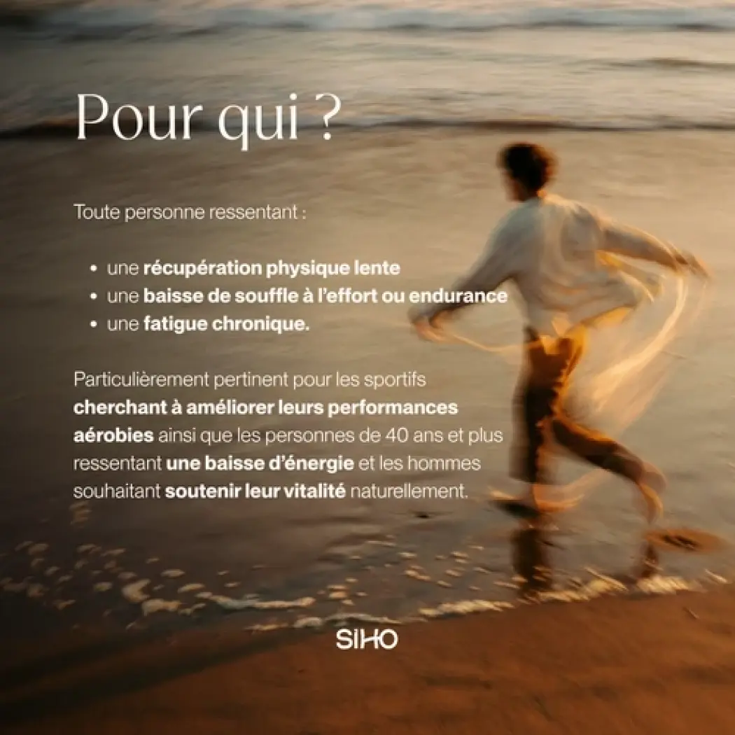 Cordyceps Bio Ultra-Concentré — Siho