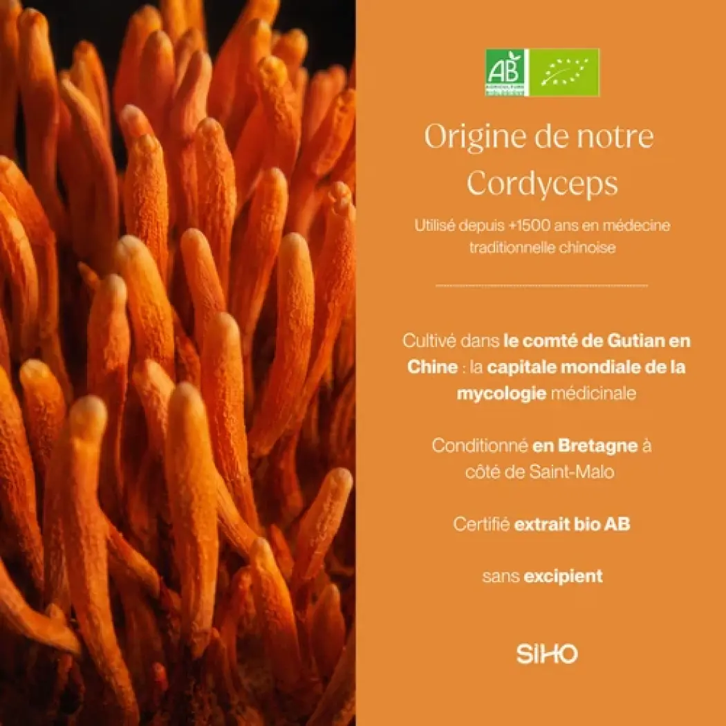 Cordyceps Bio Ultra-Concentré — Siho