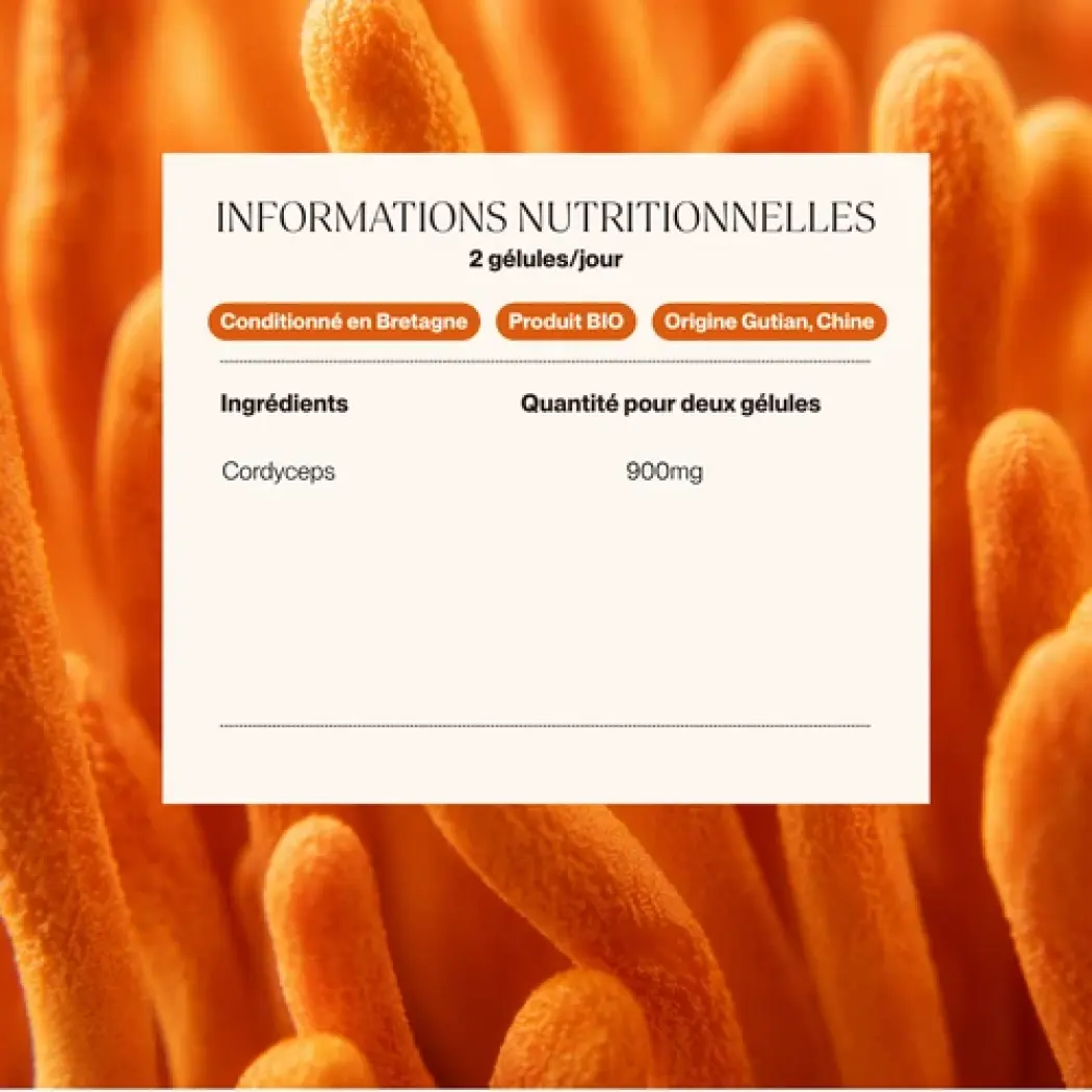 Cordyceps Bio Ultra-Concentré — Siho