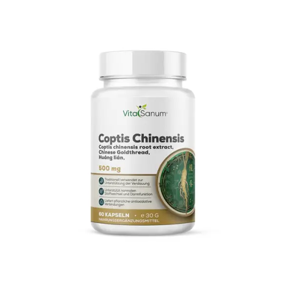 Coptis Chinensis 500 mg – 60 Kapseln
