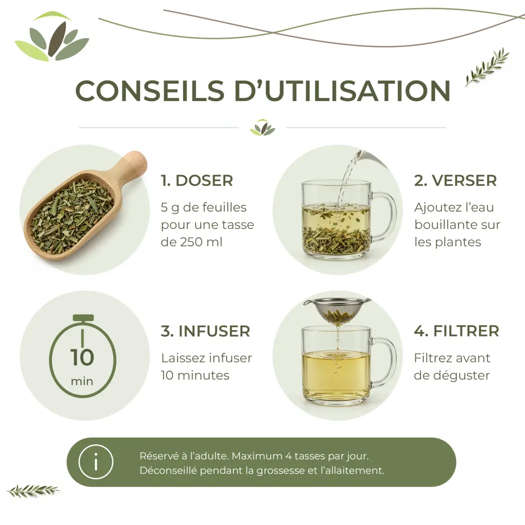 Tisane Olivier BIO – Feuilles Coupées – Infusion Naturelle – Certifiée AB – Sachet 100 g – Herbes du Monde — Herbes du Monde