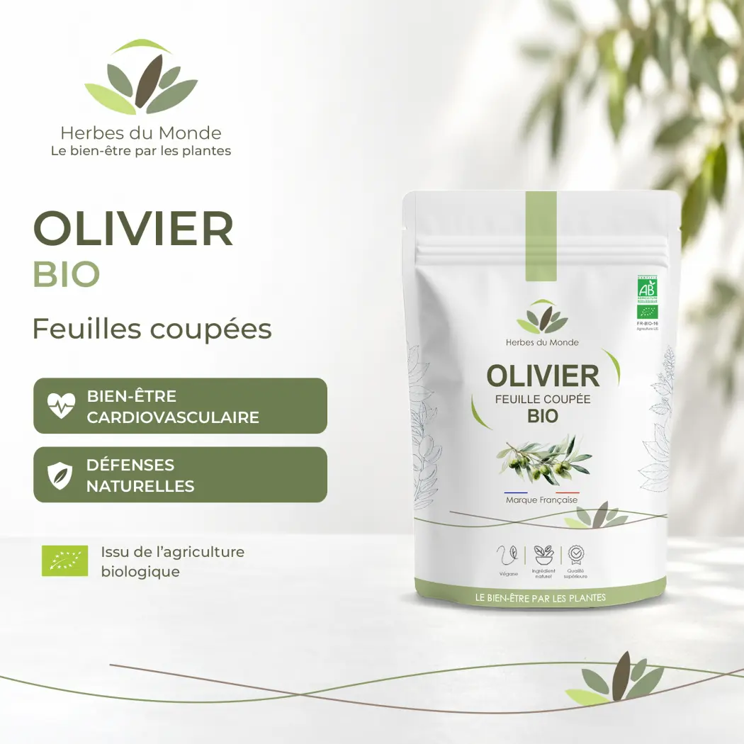 Tisane Olivier BIO – Feuilles Coupées – Infusion Naturelle – Certifiée AB – Sachet 100 g – Herbes du Monde — Herbes du Monde