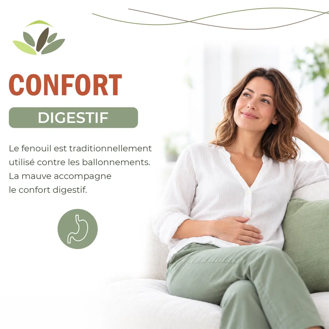 Formule Élimination BIO – Infusion de Plantes – Frêne, Mauve, Guimauve, Fenouil & Badiane – Herbes du Monde — Herbes du Monde