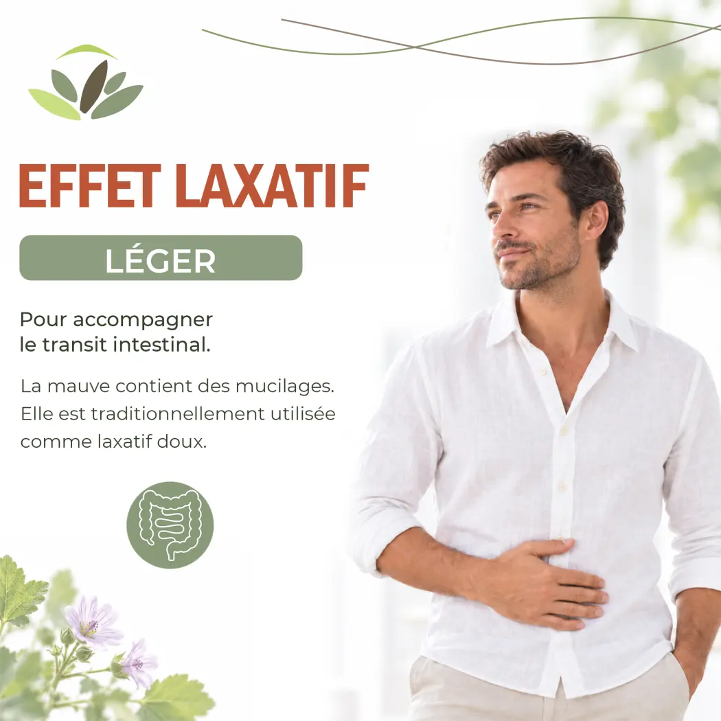 Formule Élimination BIO – Infusion de Plantes – Frêne, Mauve, Guimauve, Fenouil & Badiane – Herbes du Monde — Herbes du Monde