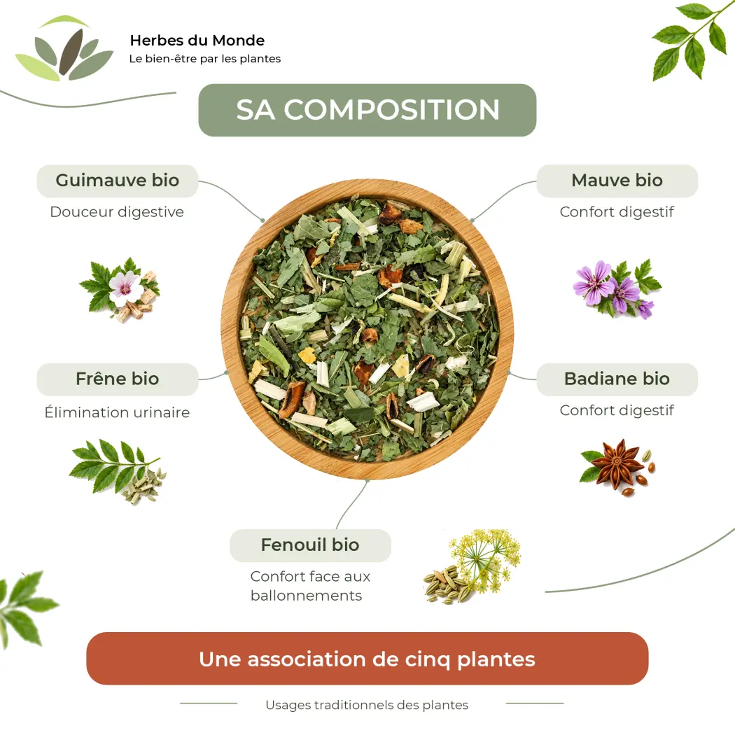 Formule Élimination BIO – Infusion de Plantes – Frêne, Mauve, Guimauve, Fenouil & Badiane – Herbes du Monde — Herbes du Monde