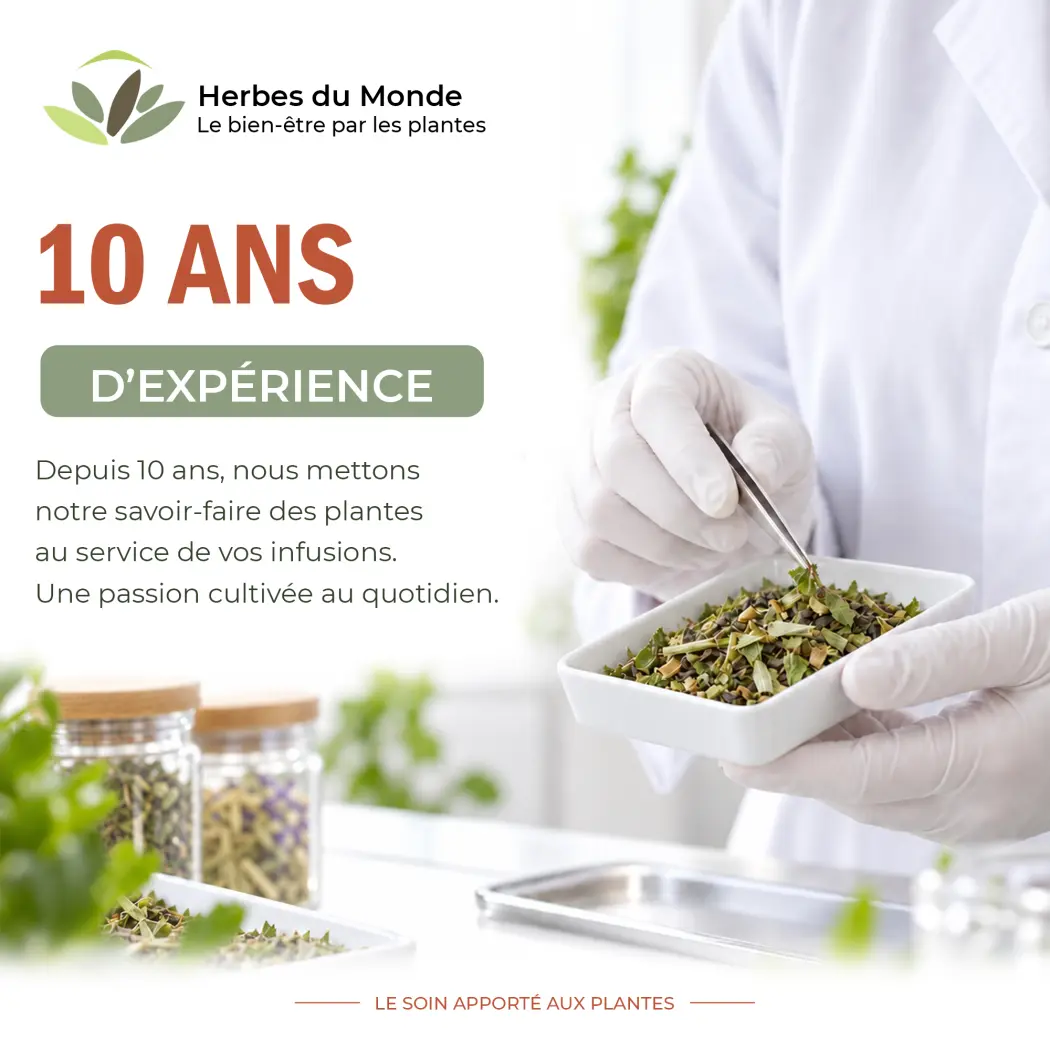 Formule Élimination BIO – Infusion de Plantes – Frêne, Mauve, Guimauve, Fenouil & Badiane – Herbes du Monde — Herbes du Monde