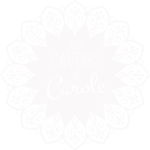 Logo-savons-de-carole-blanc