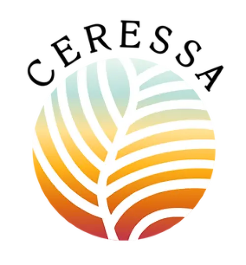 b2a119_120f0cdbed2c43febdf879757e92d5a3~mv2