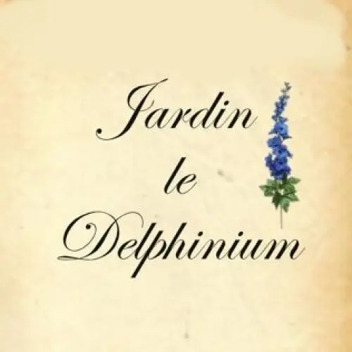 29814-47df2c27b9d771