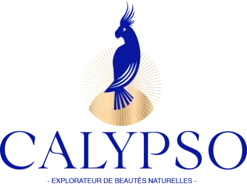 LOGO_CALYPSO