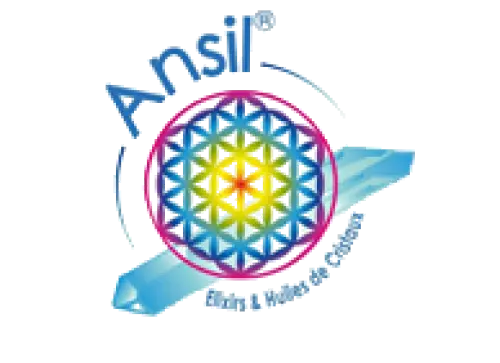 b_TK9Rd_ansil_logo