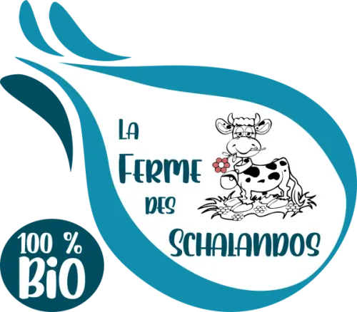 2021_logo-Schalandos_bleu-600x525