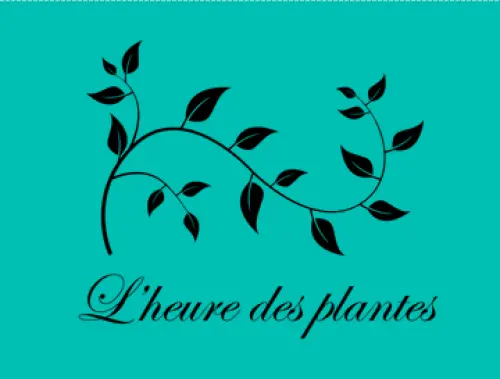 logofinal_4ec2853a-5d2f-4c5e-ba45-356b957d02ae_360x