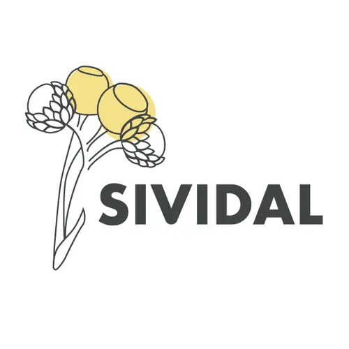 SIVIDAL