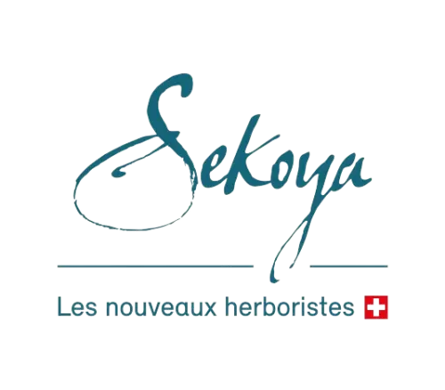 Sek_Logo_LNH_bleu-removebg-preview