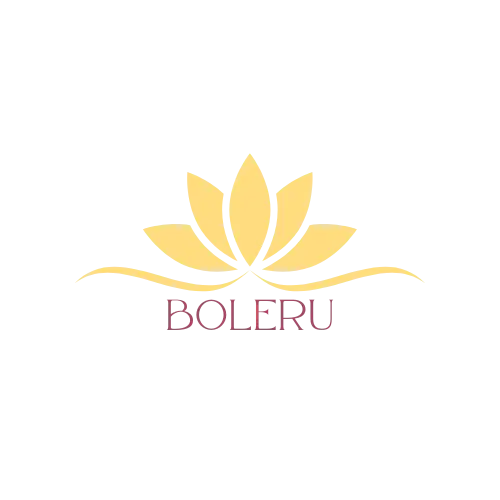 Logo_Boleru_transparant___serialized1