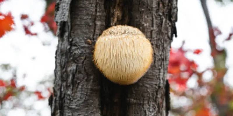 artur-kornakov-gqTd5MSZaHc-unsplash