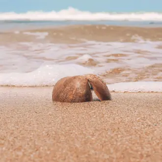 Design sans titre (44)