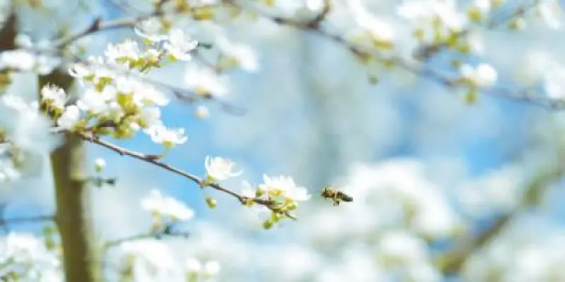 karsten-wurth-sF8j0Acen78-unsplash-400x250-1