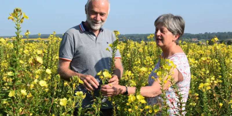 2021-07-Daniel-Mireille-ROUILLARD-299_web