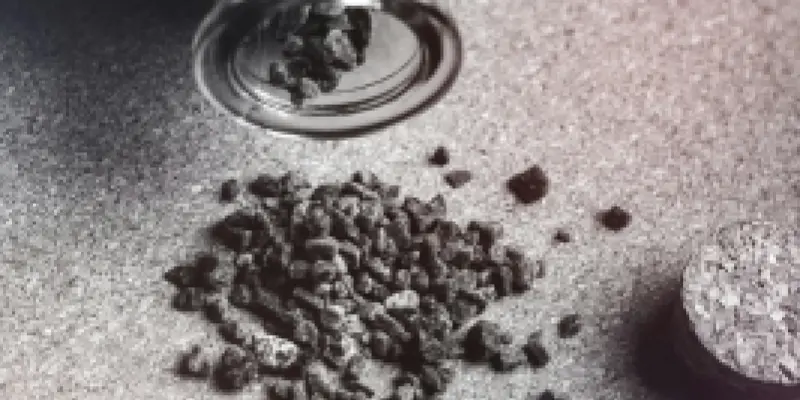 pexels-anete-lusina-6331084