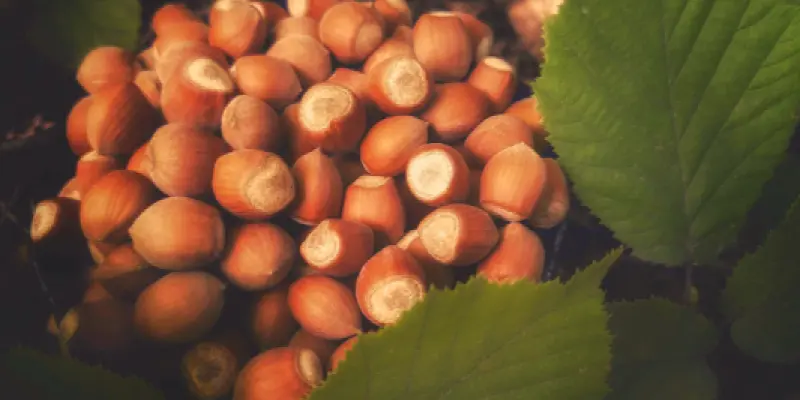 Design sans titre (16)