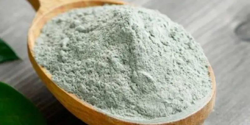 argile-verte-400x250-1