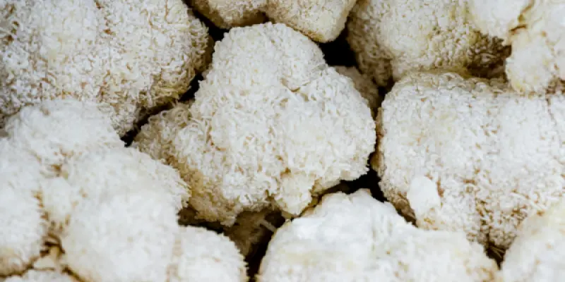 kier-in-sight-archives-icmAHvzMuPY-unsplash