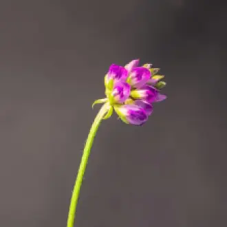 Design sans titre (43)