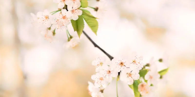 Design sans titre (11)