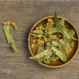 flache-lage-von-naturlichen-heilgewurzen-und-krautern