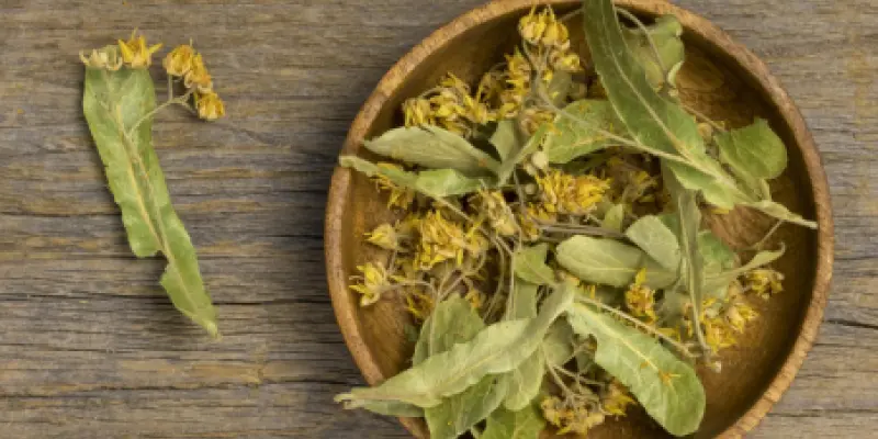 flache-lage-von-naturlichen-heilgewurzen-und-krautern