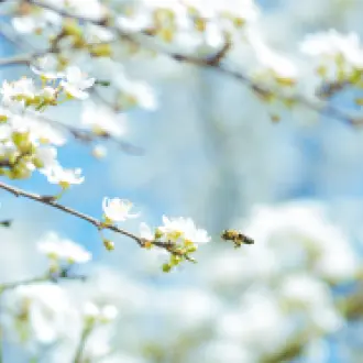 karsten-wurth-sF8j0Acen78-unsplash