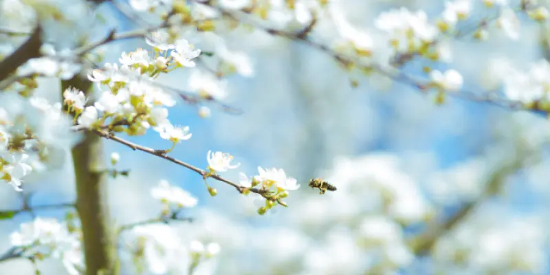 karsten-wurth-sF8j0Acen78-unsplash