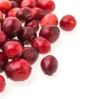 red-fruits-white-background