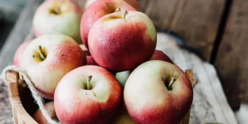 Design sans titre (40)